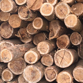 holzconzert-bilderleiste-01