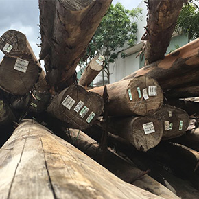 holzconzert-bilderleiste-02