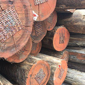 holzconzert-bilderleiste-03