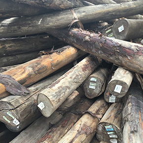 holzconzert-bilderleiste-04