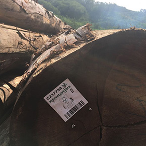 holzconzert-bilderleiste-05