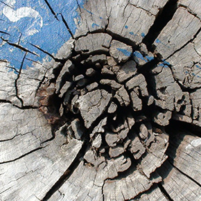 holzconzert-bilderleiste-07